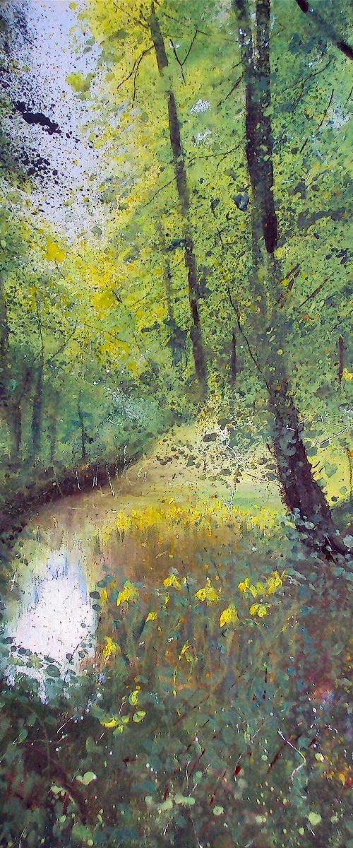 Secret woodland pond with yellow Irises by Teresa Tanner