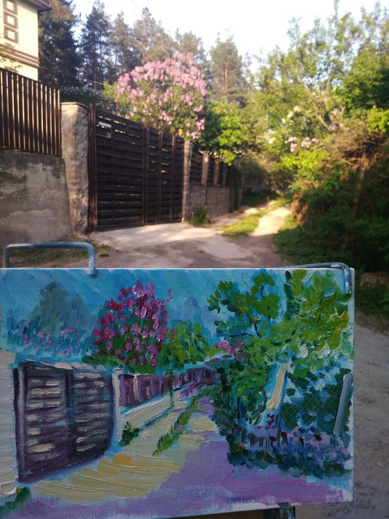 Sunny Flowering Street in the Village Plein Air Painting