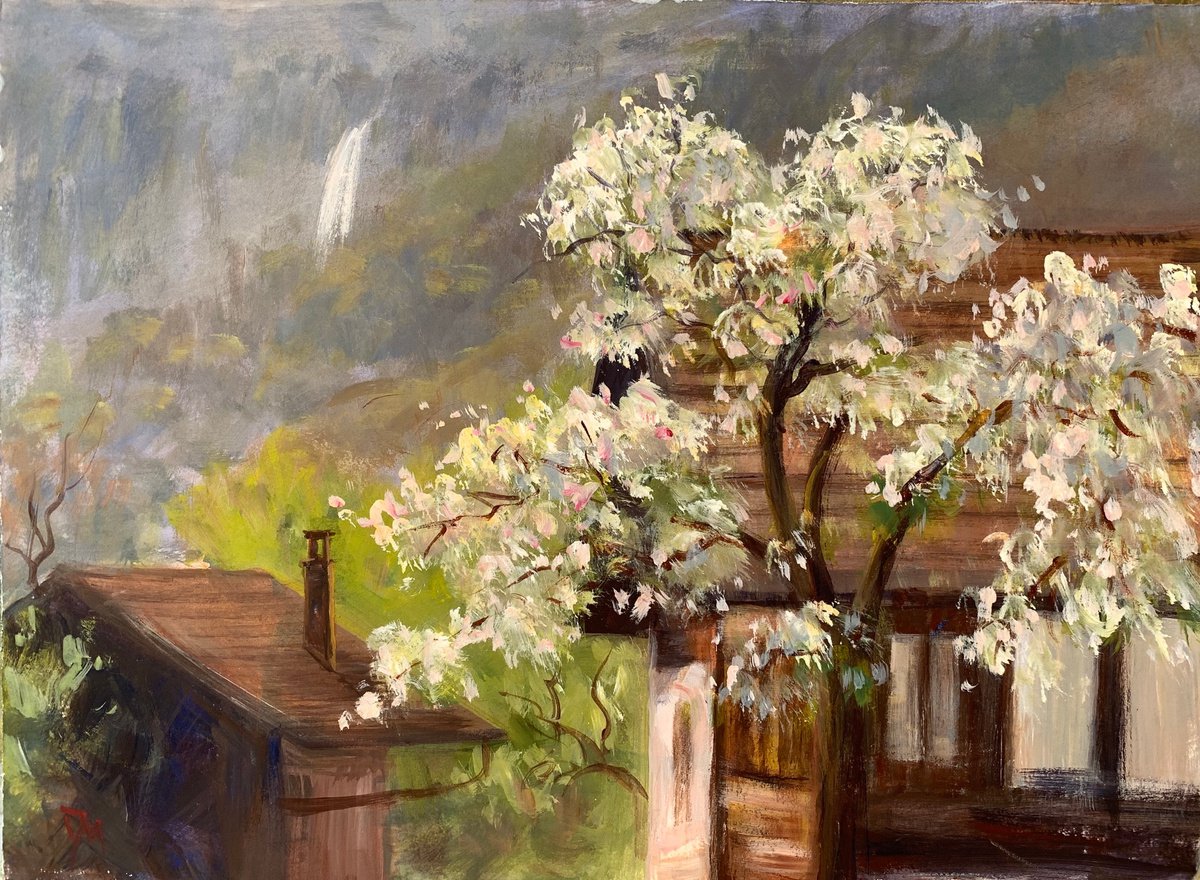 Springtime by Shelly Du