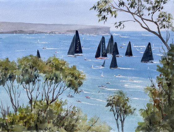 Sydney Hobart race