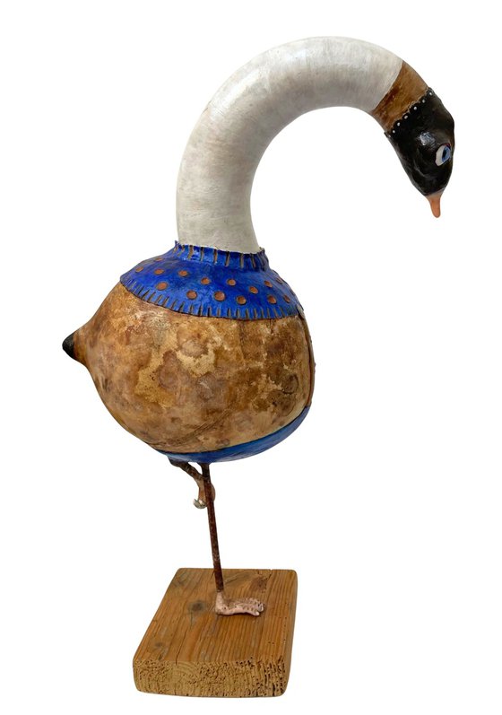 The blue goose