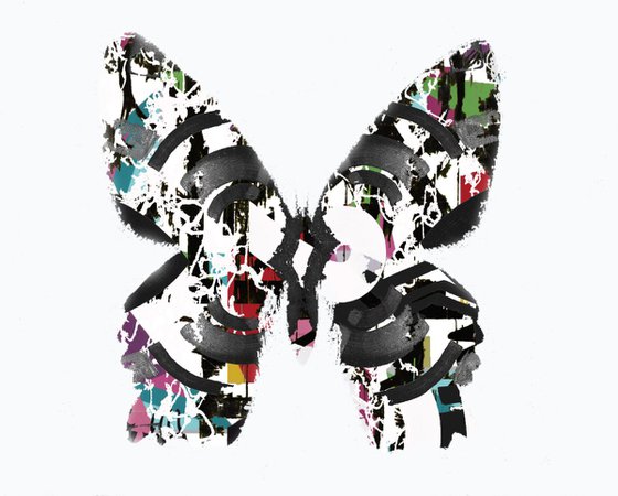 butterfly no 1