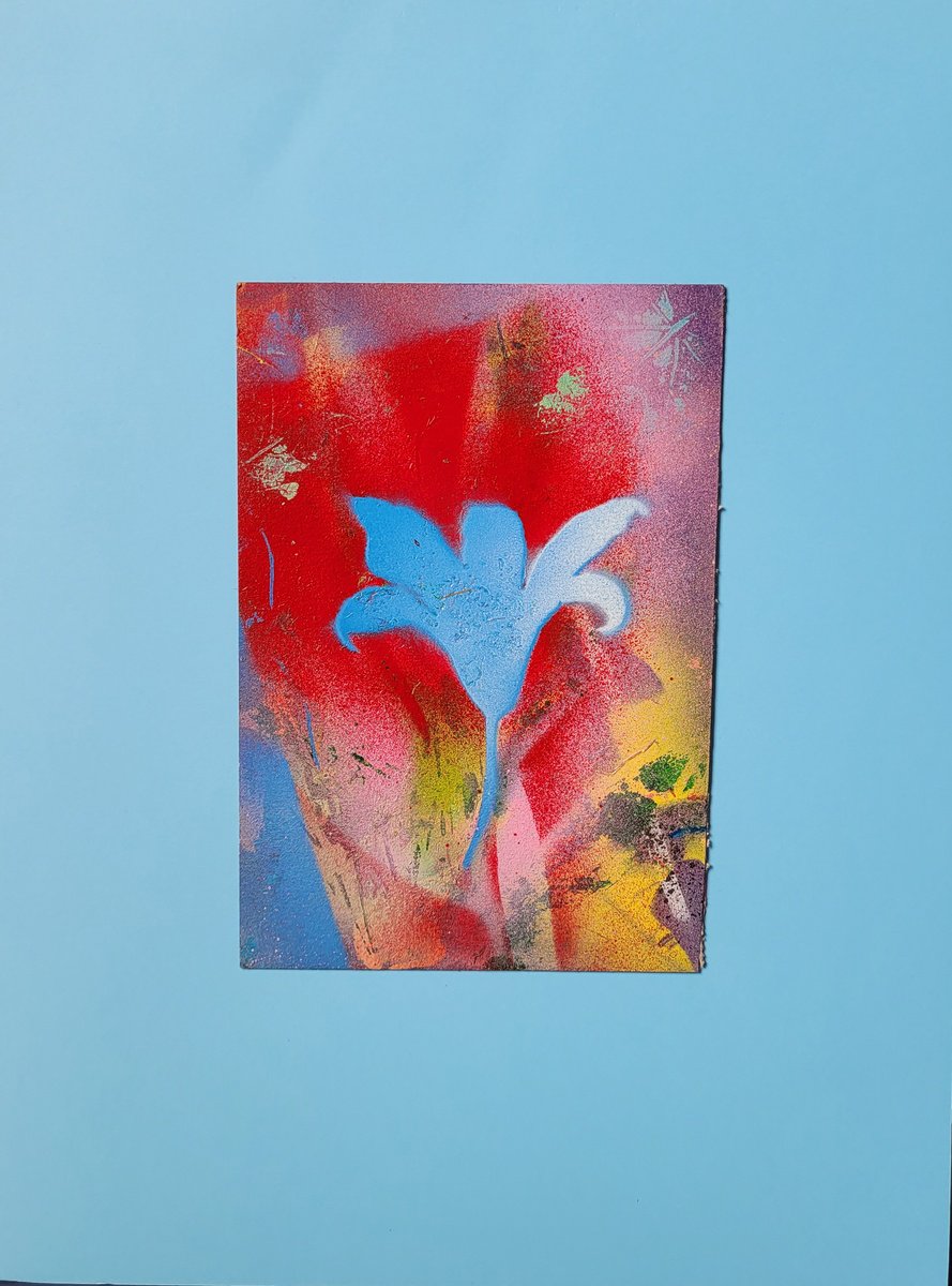 Lily of the sky by Lisa Braun