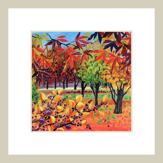 Red Acers Purple Berries