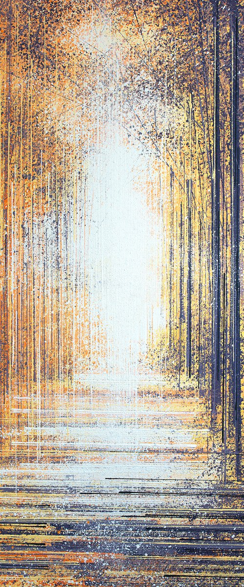 Forest Trees In Late Evening Light by Marc Todd