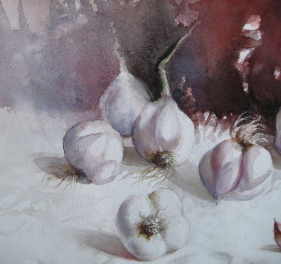 Garlic - still life watercolour