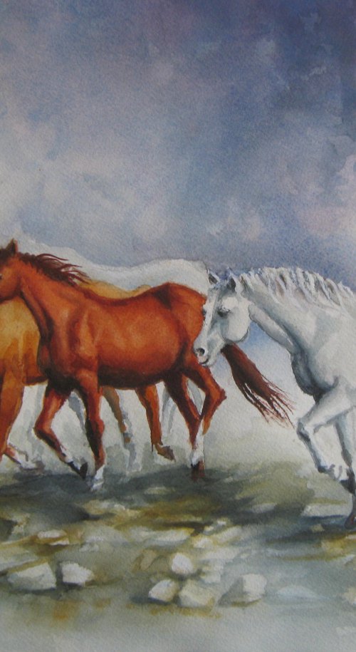 Wild horses by Elena Oleniuc