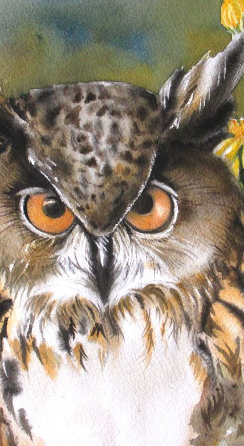 owl with butterflies by Alfred  Ng