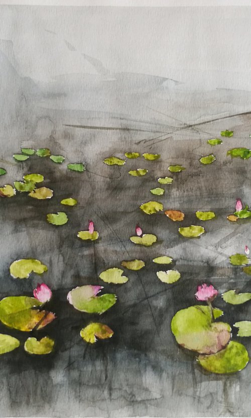 Waterlilies - Original liGHt watercolor painting by Daniela Roughsedge