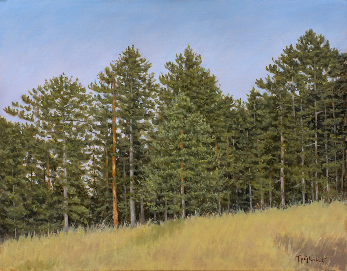 Impressionistic Landscape Oil Painting By Dejan Trajkovic, 18 X 14, Take A Breath, Original Artwork