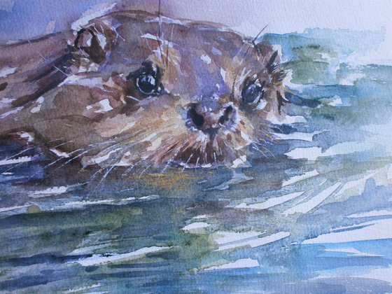 otter swimming