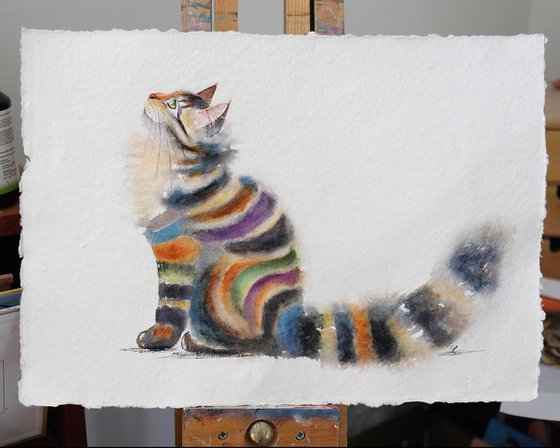 Miss Stripes - Tabby Cat