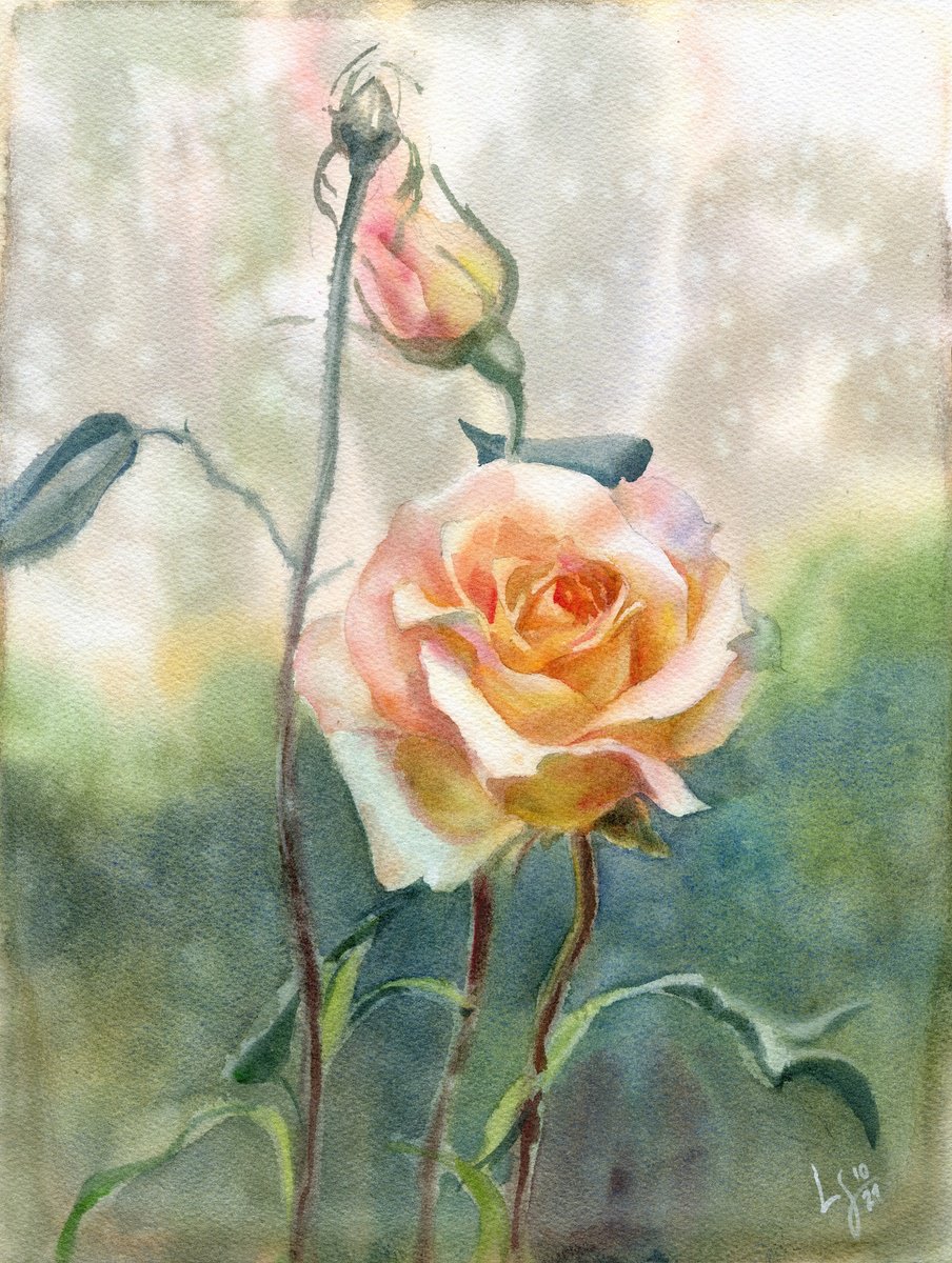 Autumn Rose by SVITLANA LAGUTINA