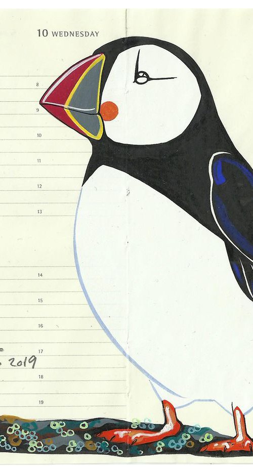 Birds of Europe: Puffin by Fran Giffard