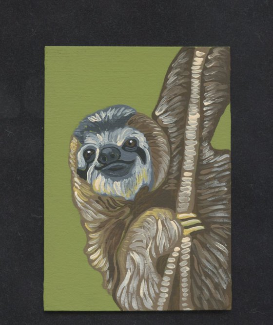 Sloth