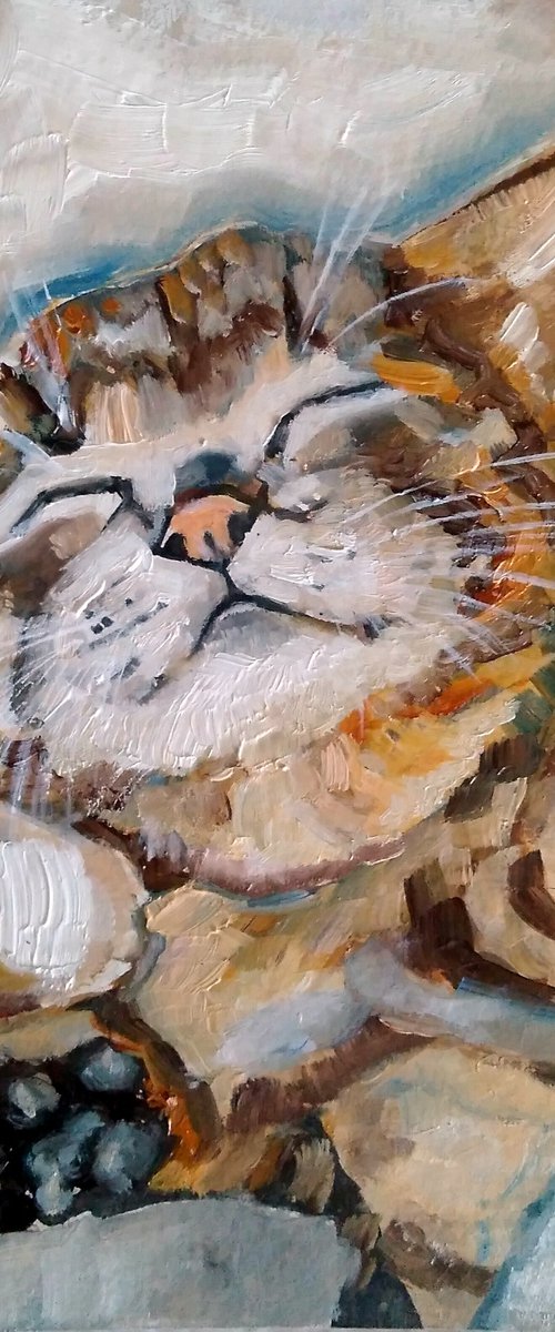 Sleeping Kitten by Yulia Berseneva