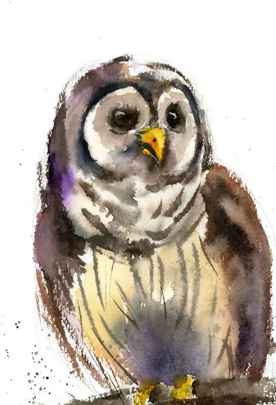 The OWL - sketch