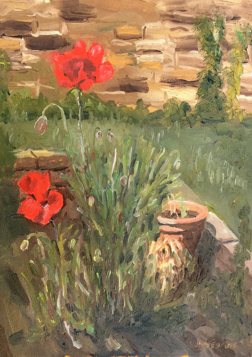 First Poppies - An original oil painting by Julian Lovegrove Art