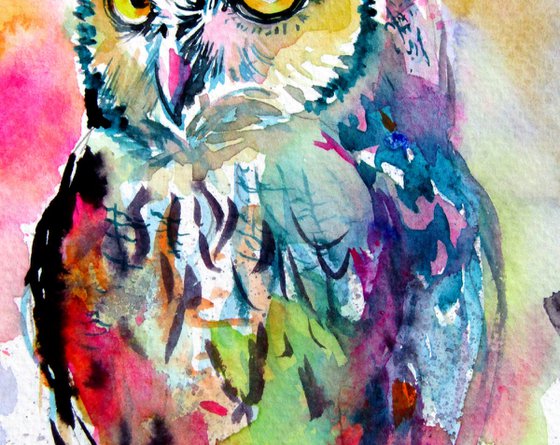 Majestic colorful owl