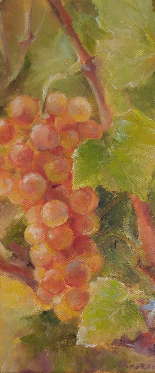 Grapes 3 by Alexander Koltakov