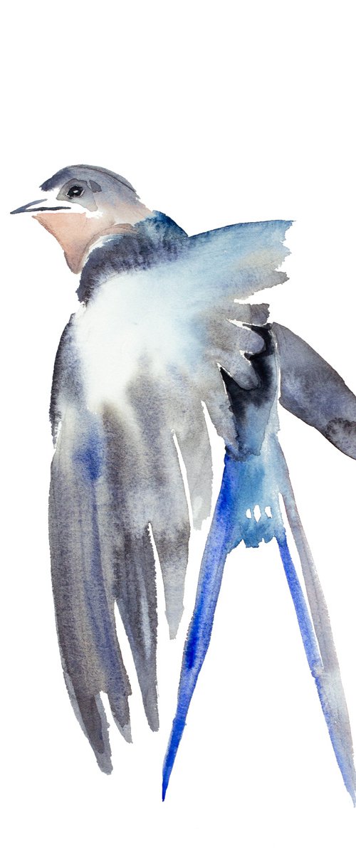 Swallow No. 45 by Elizabeth Becker