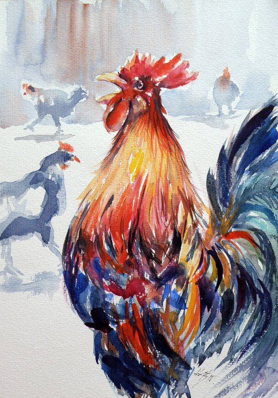 Rooster