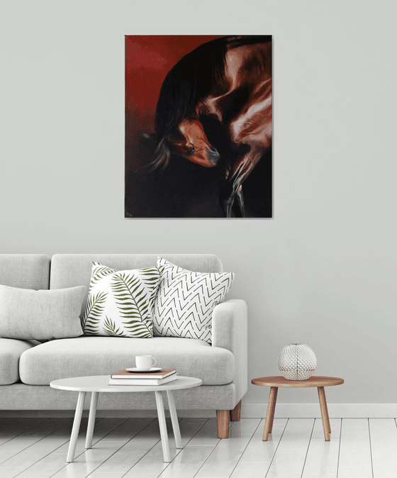 Lusitano stallion in red