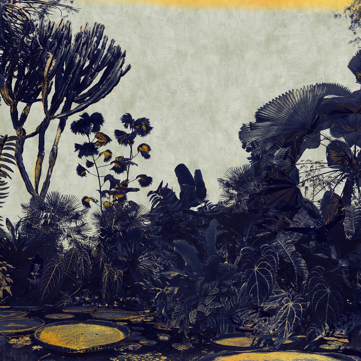 Impressionistic Botanical Photograph By Nadia Attura, 28 X 28", Kew Lagoon, Original Artwork