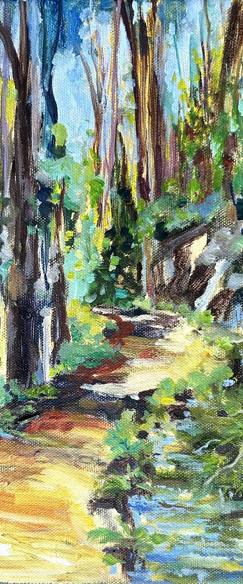 Cascade Ditch Trail by Annette Wolters