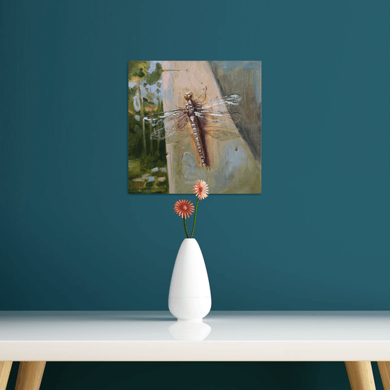 Dragonfly with transparent wings sits on a tree