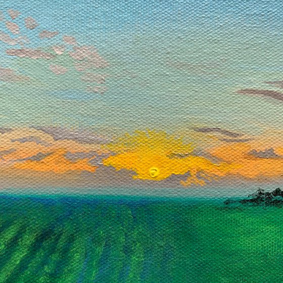 Field Sunset! Miniature landscape painting