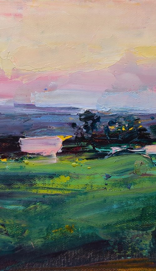 Sunset over the Dnieper by Helen Shukina