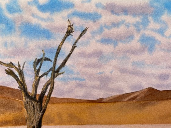 Dawn in the Desert