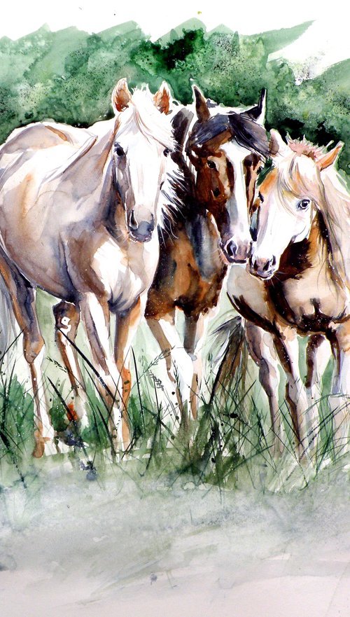 Horses on the field by Kovács Anna Brigitta