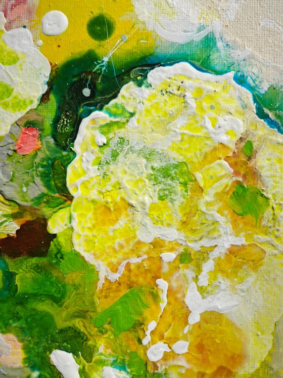 Tender Springlight N°1