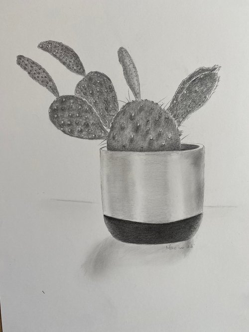 Cactus by Maxine Taylor