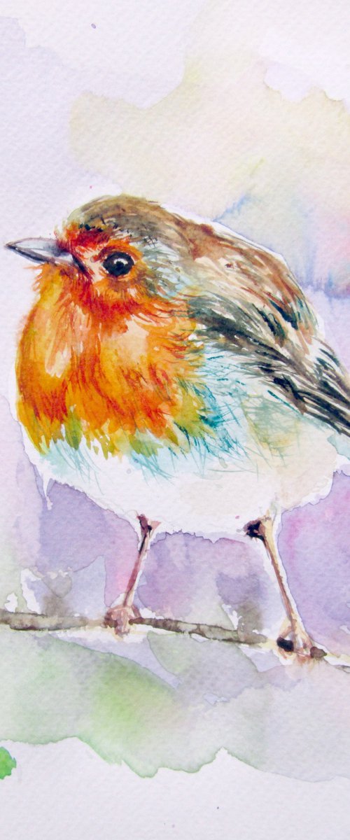 Robin by Kovács Anna Brigitta
