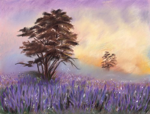 Lavender Fields by Vanda Valkuniene
