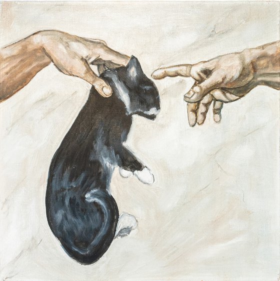 Creation of a Cat