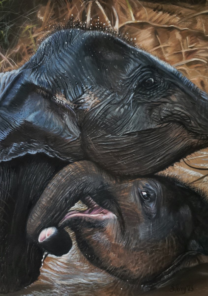  - Friendship - ? by Sarah Perry
