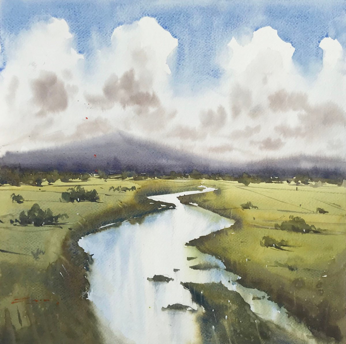 River across the Green Meadow by Swarup Dandapat