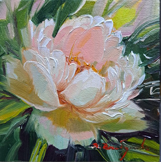 Small oil painting original framed art pale pink peony flower 10x10 cm