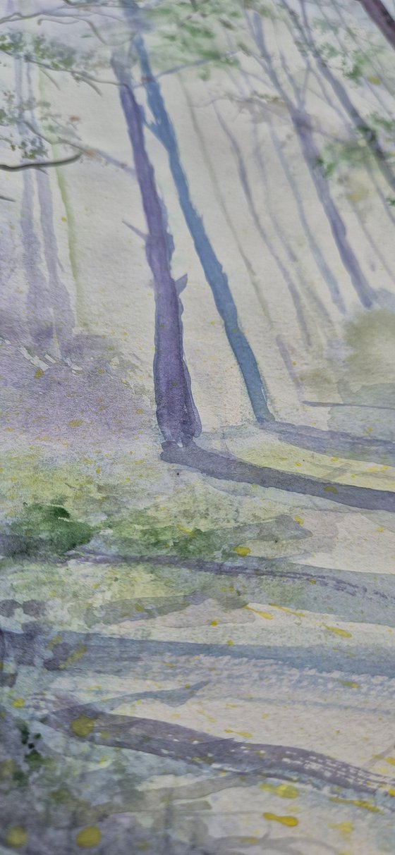 Morning Light Through the Forest