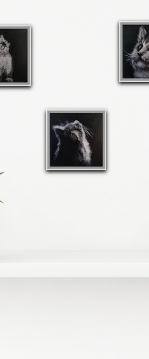 Triptych 3 kittens by Anastasia Art Line