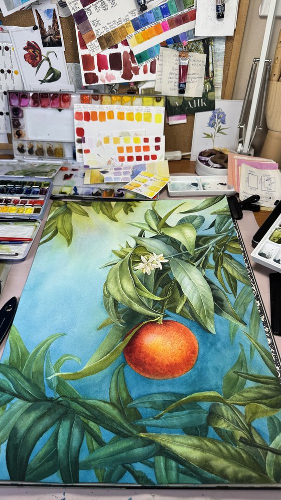 Tangerine Branch