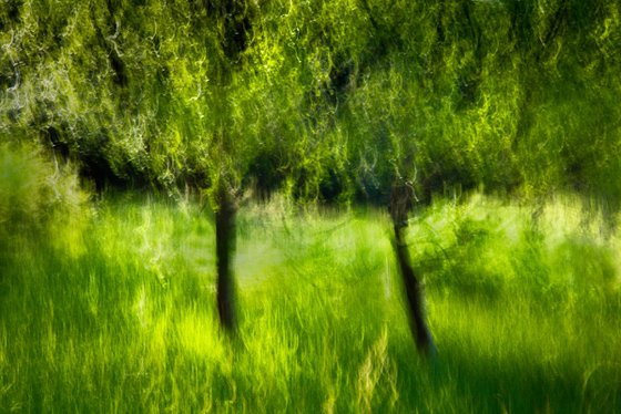 The Picnic Spot - lime green abstract on canvas