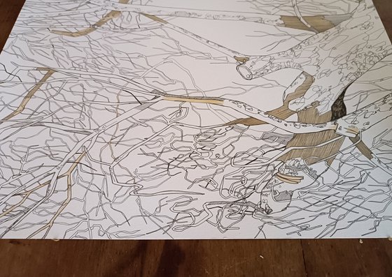 draw 24.0