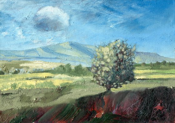 Lone Hawthorn Tree