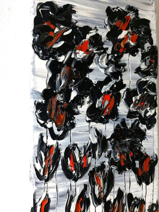 Black Poppies 1