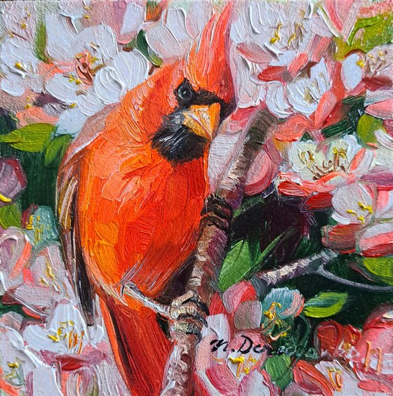 Cardinal red bird oil painting original 4x4 framed artwork small bird